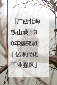 广西北海铁山港：30年蝶变超千亿现代化工业强区